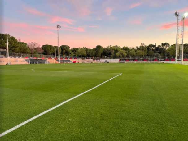 Football pitch at the ESC LaLiga and NBA sports complex